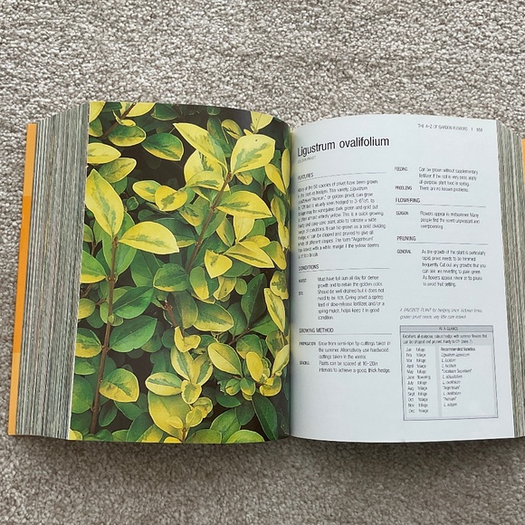 The A-Z of Garden Flowers - Picture 6 of 6